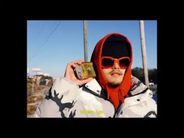 Video: 6 Dogs – OK